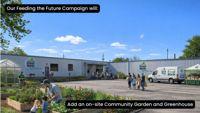 CFB website assets 2 (19)