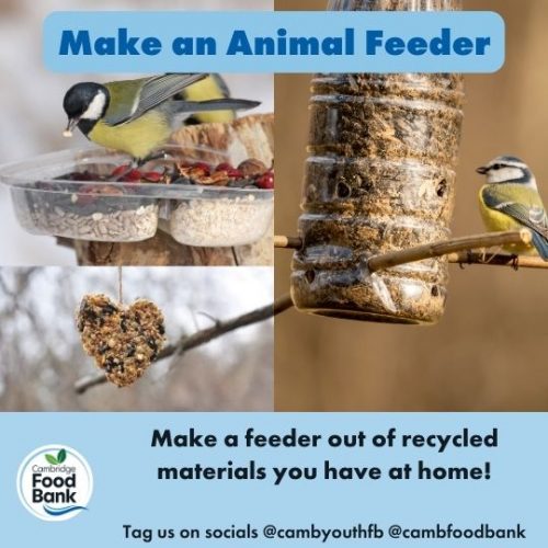 Cambridge Food Bank Make a Bird Feeder